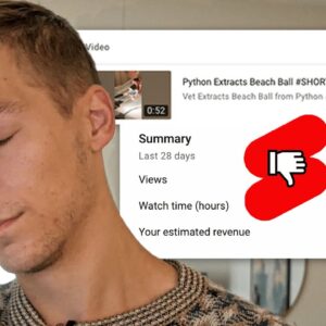 YouTube Shorts WRECKED Our Channel (Warning)